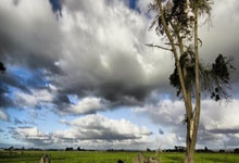 天涯社区如何赚钱：揭秘这个老牌论坛的收入来源！